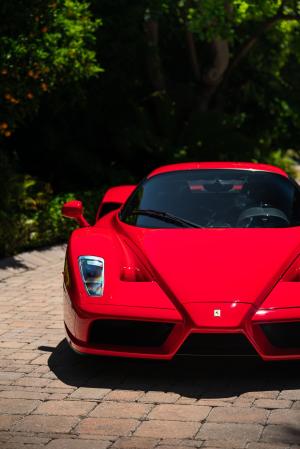 Ferrari Enzo 2003 года 